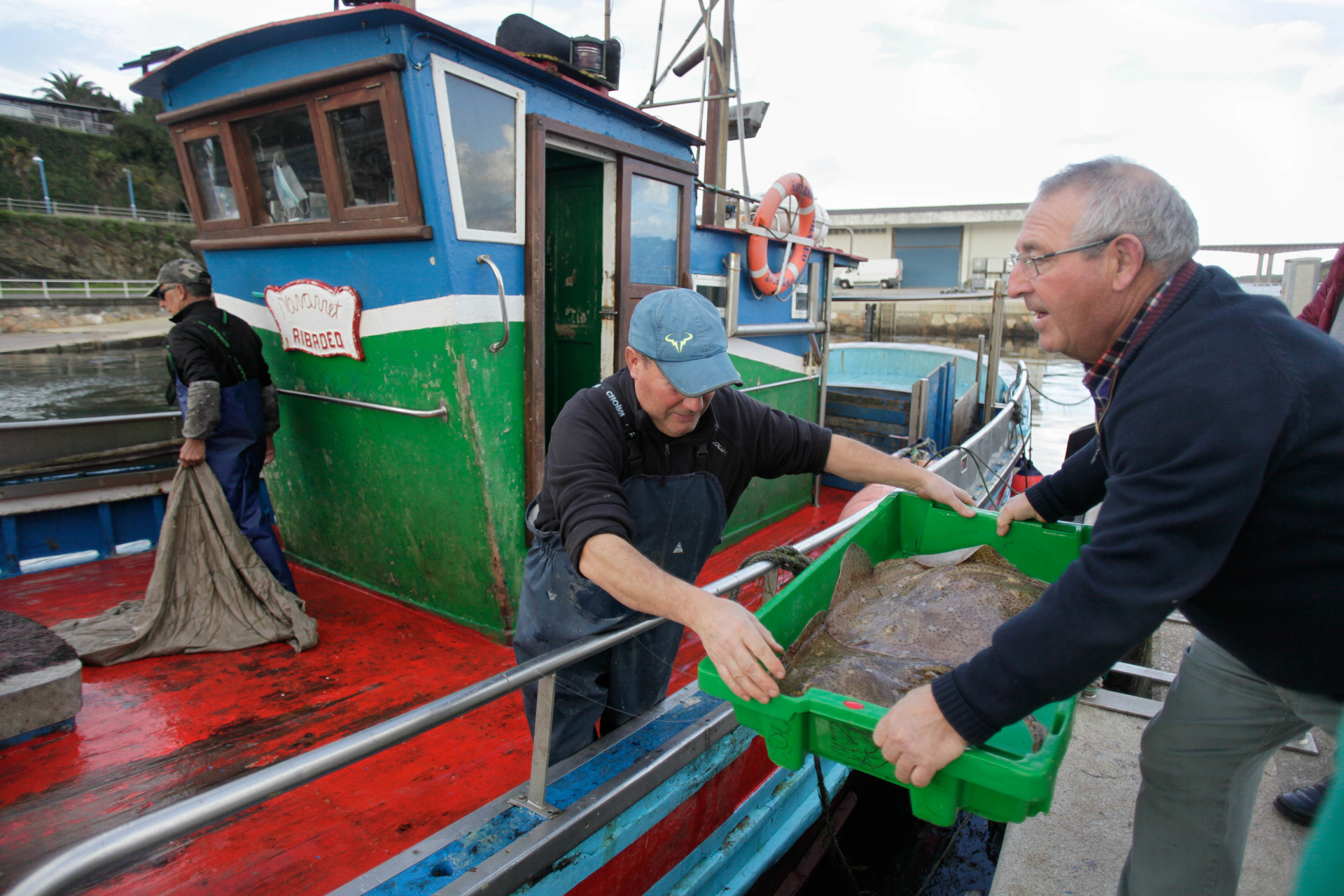 Veto A La Pesca Y Temporal Elevan En Navidad El Precio Del Pescado Que