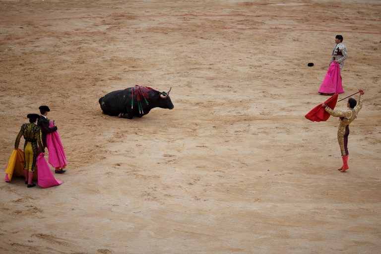 Proponen utilizar la plaza de toros de Pontevedra para el dispositivo de lucha contra la pandemia