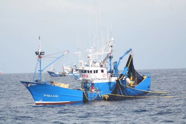 Mar negociará «a cara de perro» para «revertir» el recorte de cuotas de pesca de la UE para 2020