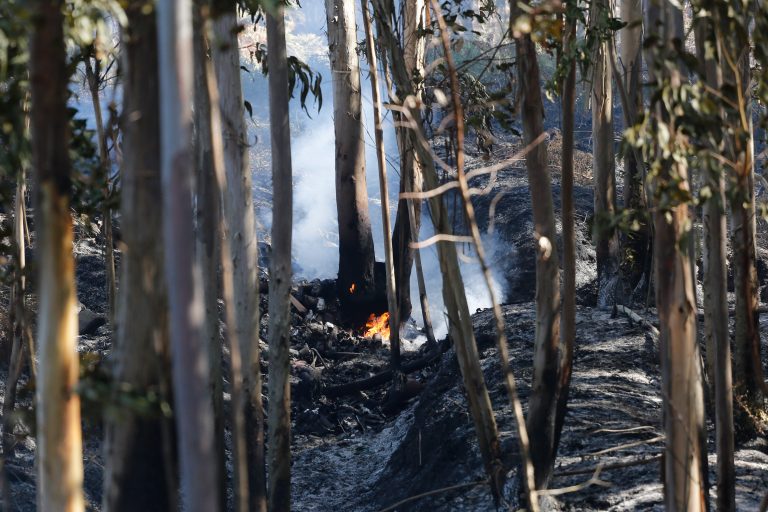 Estabilizado un incendio en Verín próximo a la A-52, que afecta a unas seis hectáreas