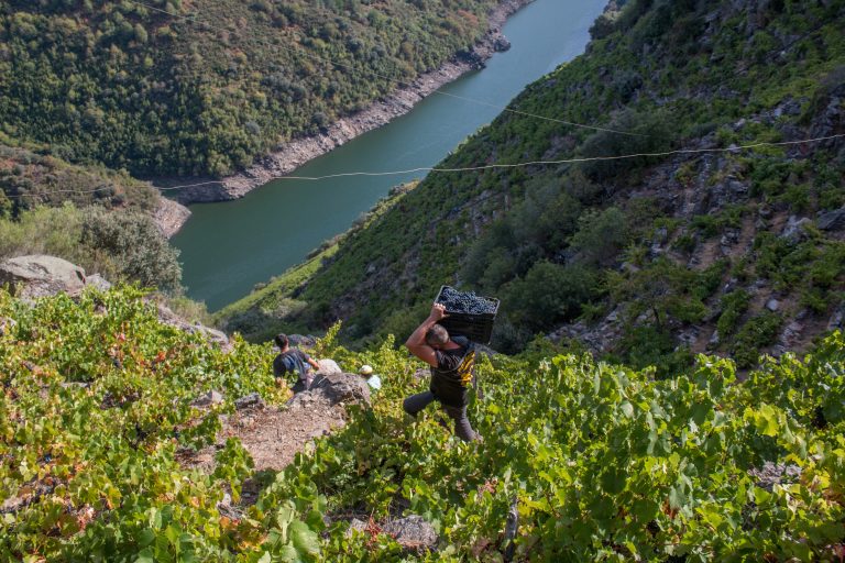 Las comunidades autónomas más sostenibles llevan a FITUR su riqueza cultural, paisajística y gastronómica