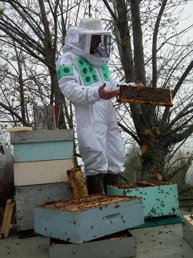 Las dificultades de vivir de la miel en el rural: ingreso complementario y falta de inversión