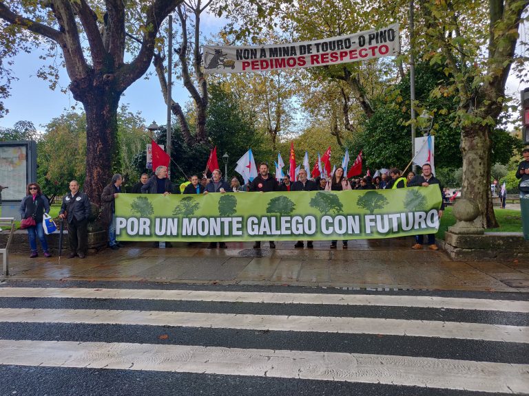 Cientos de personas se manifiestan en defensa de «la rentabilidad y sostenibilidad social» del monte gallego