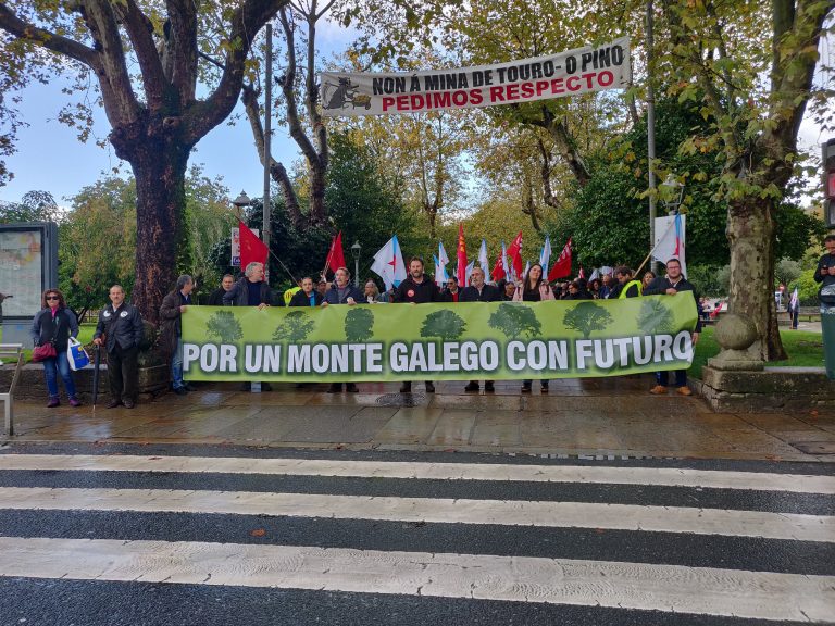 Centos de persoas maniféstanse en defensa de «a rendibilidade e sustentabilidade social» do monte galego