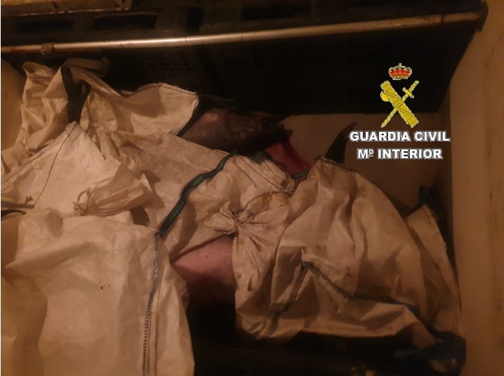 Aprehendidos tres ejemplares de pez espada en Camariñas al carecer el pesquero de licencia para esta captura