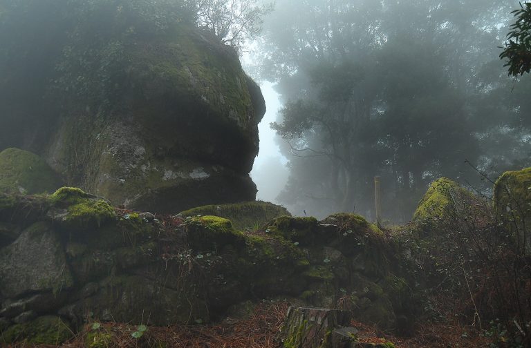 El ‘secreto’ del monte Aloia: uno de los asentamientos fortificados más grandes y desconocidos de Galicia