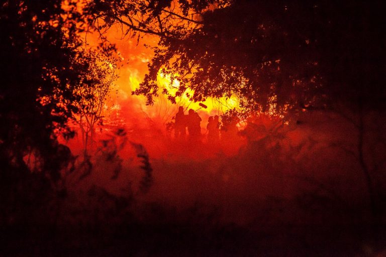 ‘O que arde’ supera ya los 50.000 espectadores y se encamina a su cuarta semana en cartelera