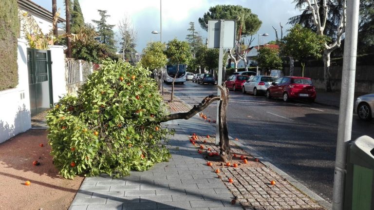 Un temporal de viento afectará este domingo a las provincias de A Coruña y Lugo, con rachas de hasta 100 km por hora