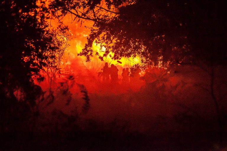 ‘O que arde’ de Óliver Laxe aspira a colarse entre los finalistas de los Premios Goya en 15 categorías