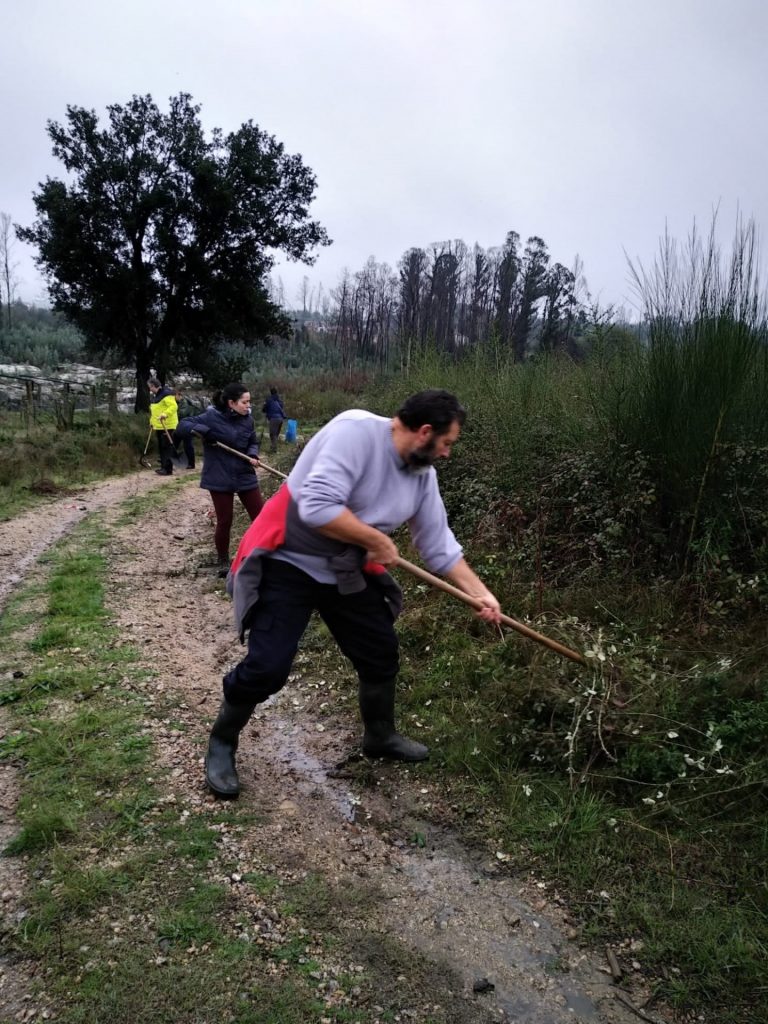 As Neves planta 1.500 árboles más y llega a los 10.000 como parte del trabajo para recuperarse de los incendios de 2017