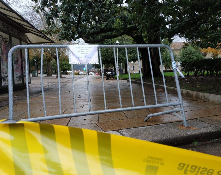 El temporal deja cerca de 200 incidencias en Galicia, con la caída de un centenar de árboles