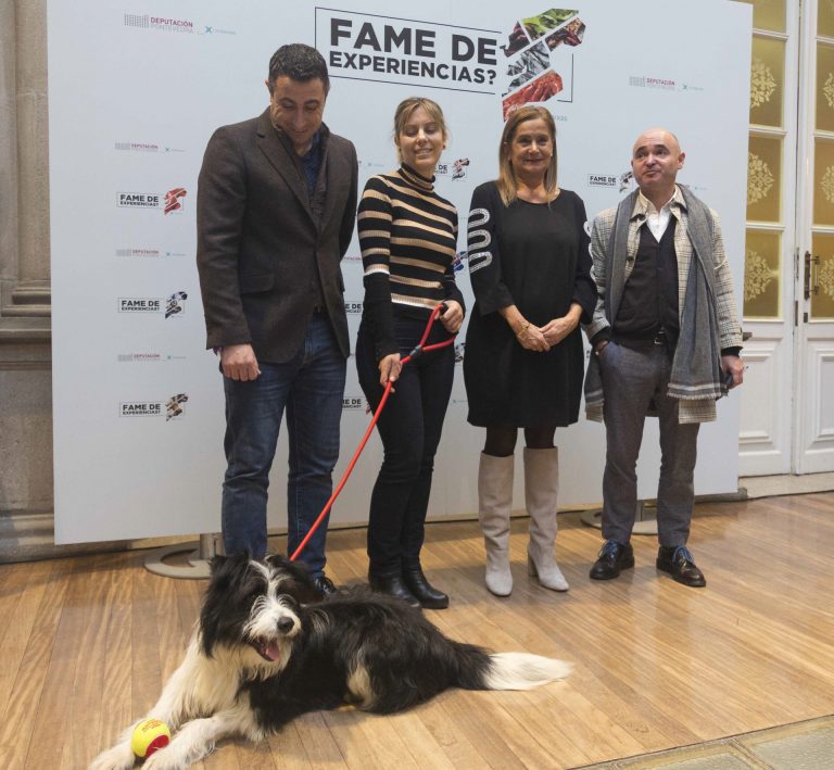 La Diputación de Pontevedra lanza la campaña ‘Esteriliza, adopta’ para fomentar la tenencia responsable de animales