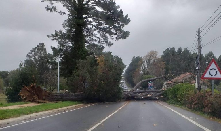 Unos 4.200 hogares de Ourense y Lugo continúan sin suministro eléctrico a causa de las incidencias del temporal