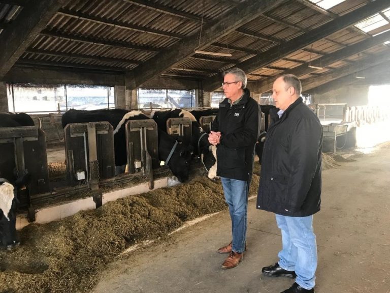 Rural.- La Xunta convocará este mes la puja de leche producida en los dos centros públicos con explotación láctea