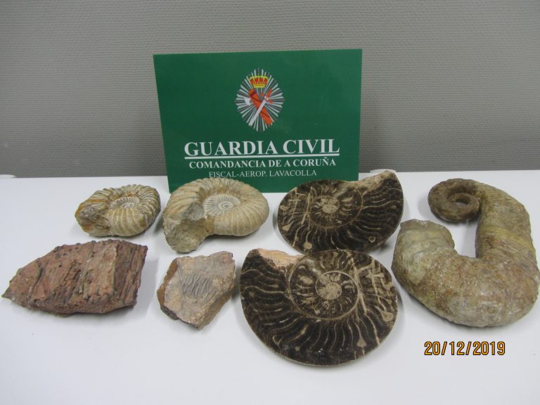La Guardia Civil incauta siete fósiles procedentes de Marruecos en el aeropuerto de Santiago