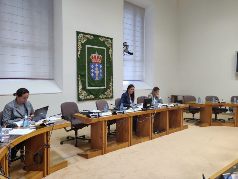 La valedora do pobo señala las «carencias» que sufren las personas con discapacidad en los servicios de Dependencia