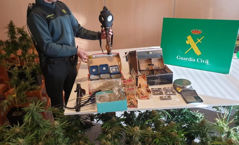 Detenidos un padre y un hijo de Poio (Pontevedra) por cultivar y vender marihuana