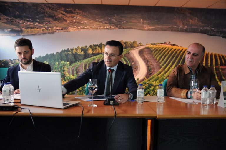 Expertos de las universidades gallegas trazan una estrategia de dinamización del vino de la DO Ribeiro