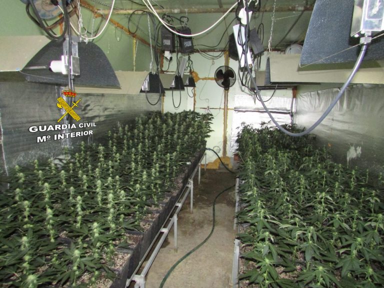 Desmantelados dos viveros artificiales para el cultivo de marihuana en Teo tras la detención de dos personas