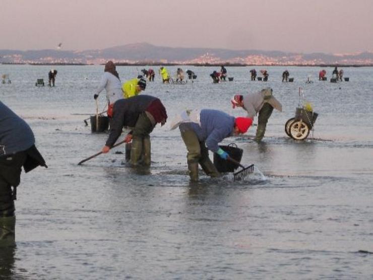 El marisqueo en peligro: Los profesionales acusan a la Xunta de desatender al sector