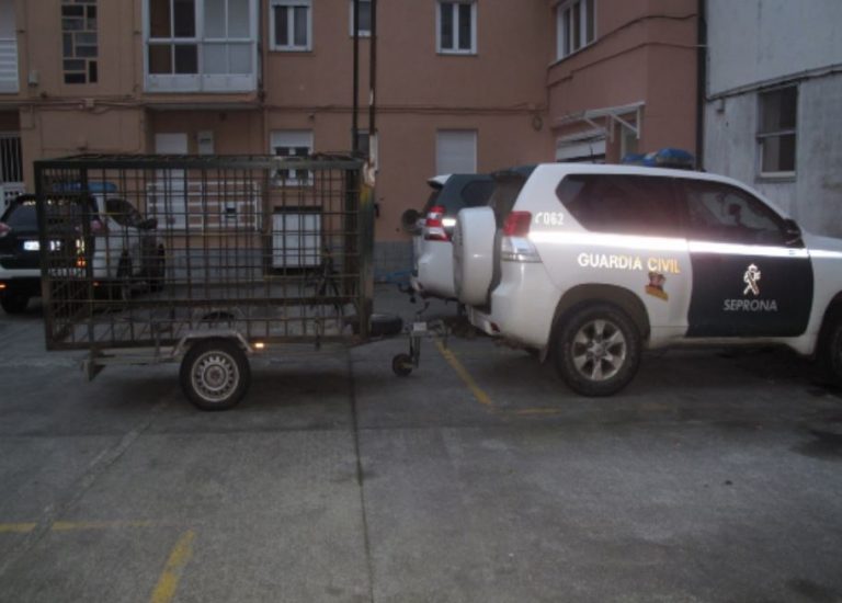 Investigado un vecino de Xermade (Lugo) por una jaula grande intervenida, supuestamente usada para la caza de jabalíes