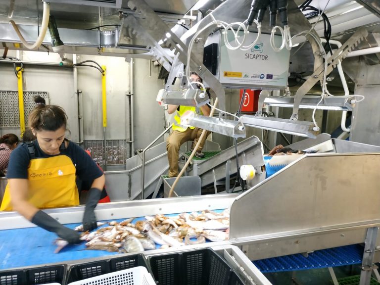Pesca.- Un proyecto de investigación optimiza un sistema de identificación y cuantificación de capturas