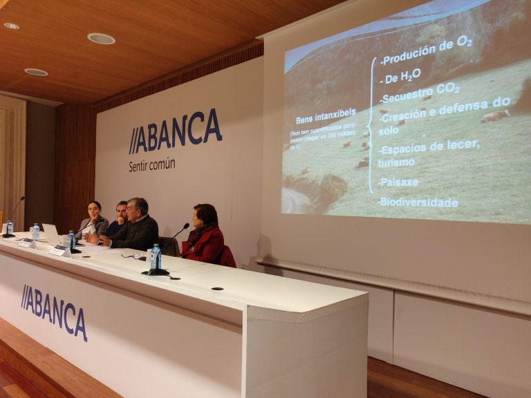 Rural.- Una nueva iniciativa apuesta por mejorar la salud mental a través de «las posibilidades» del bosque gallego
