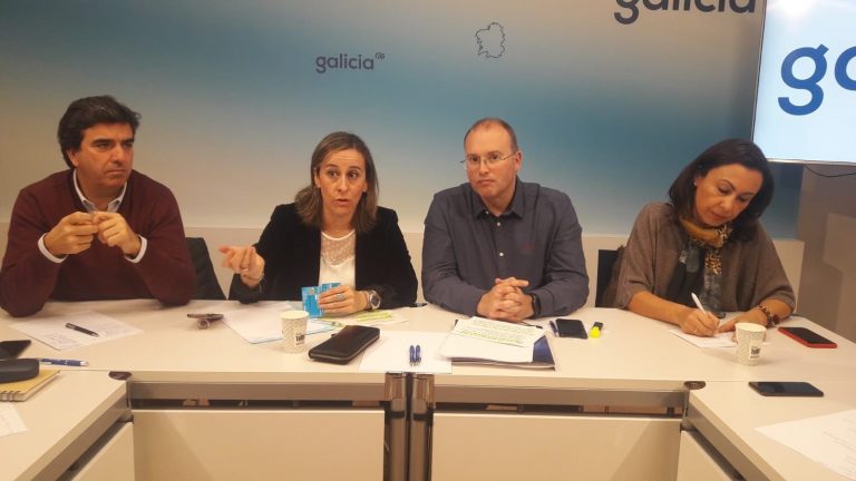 El PPdeG lamenta el «desprecio» del Gobierno a las infraestructuras gallegas mientras es «cariñoso» con CCAA «desleales»
