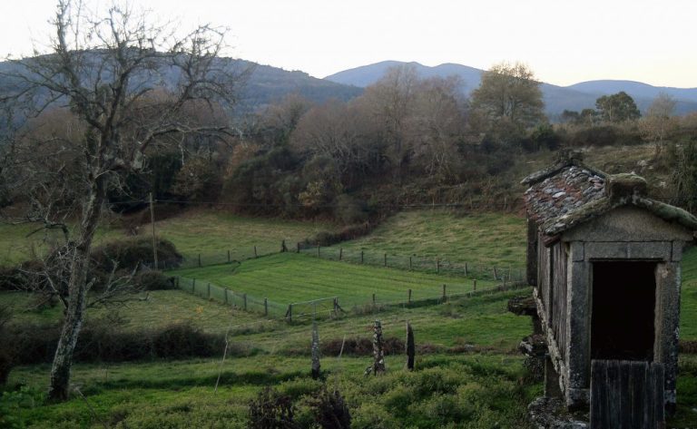 Alertan de que Galicia será el territorio más golpeado en España por el abandono de tierras agrícolas