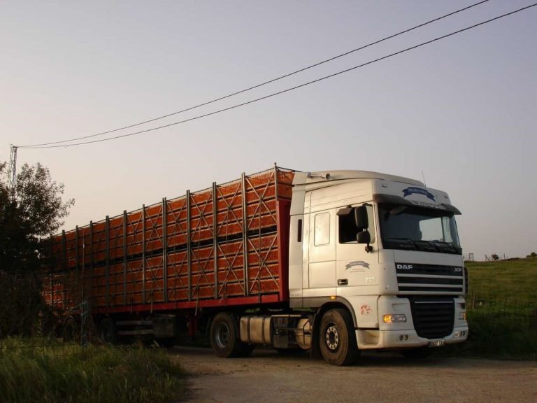El Gobierno amplía tres meses la flexibilización del transporte de animales para garantizar el suministro