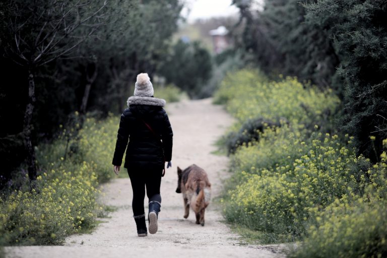 Animalistas avisan a Ponteareas y A Estrada que «no tienen competencias» para limitar los paseos de perros