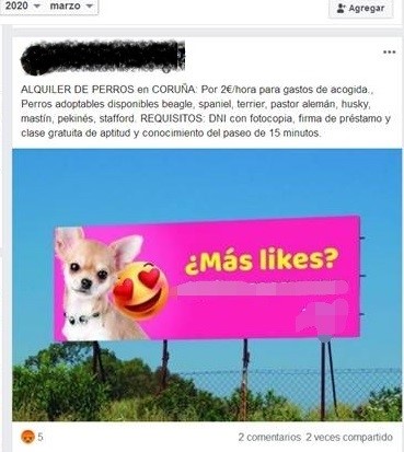 Coronavirus.- Animalistas denuncian un nuevo anuncio para alquilar perros en A Coruña y piden que se investigue