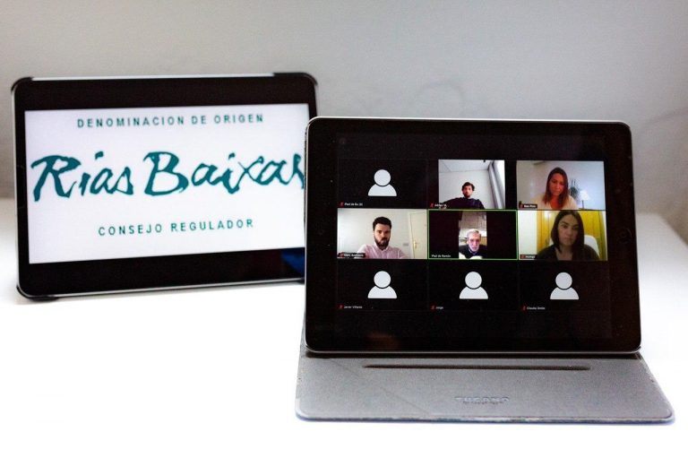 Rural.- Ciudadanos pide «soluciones» para el sector vitivinícola, con «peligro» de perder la cosecha