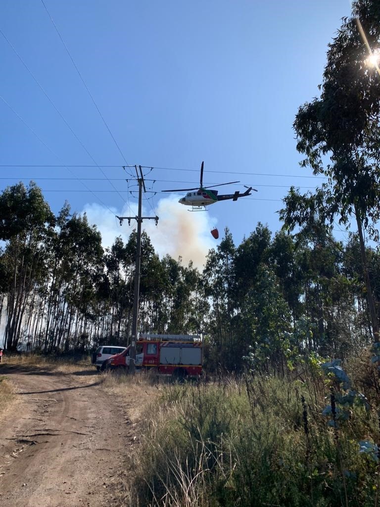 Estabilizado en incendio forestal de Toén tras quemar 15 hectáreas