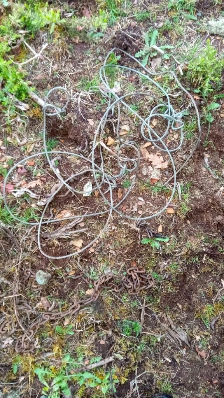 Investigan la autoría de cuatro lazos colocados para cazar fauna salvaje en un monte en Baleira (Lugo)