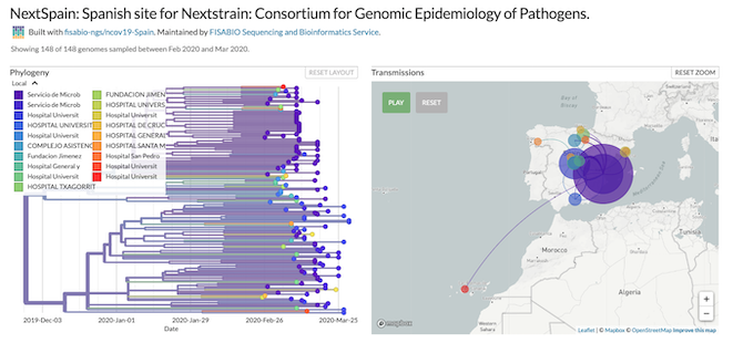 Uno de los mapas genéticos del coronavirus COVID-19 / NextStrain