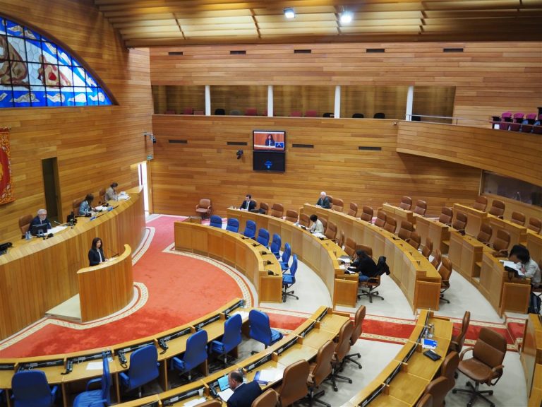 El BNG aboga por dar «capacidad de impulso» al Parlamento de Galicia cuando finalice el estado de alarma