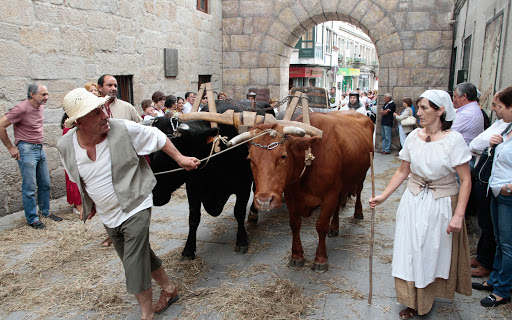 Pontevedra No Deja Sin Fiestas Este Verano Y Trabaja En La Feira Franca