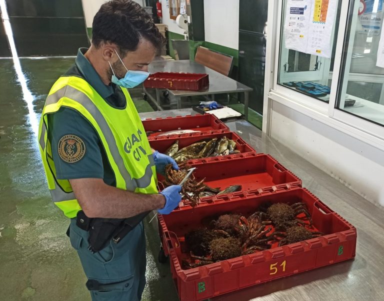 Intervenidos 40 kilos de marisco y pescado extraídos de forma ilegal en Baiona (Pontevedra)
