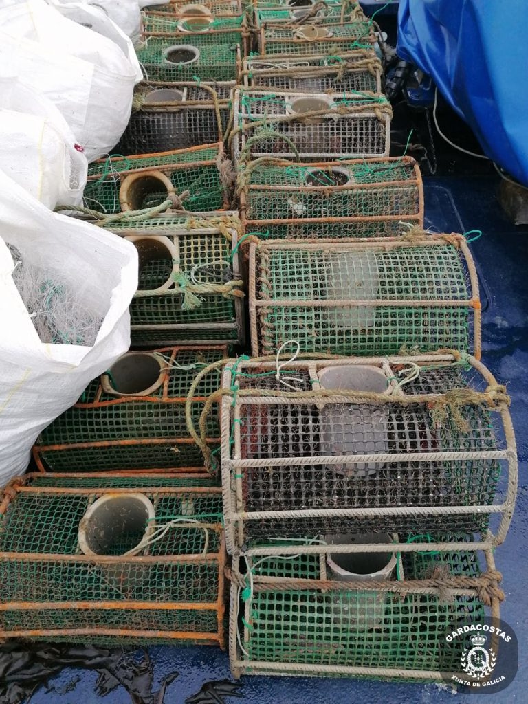 Incautados 450 kilos de pescados y mariscos en varios controles en la costa gallega