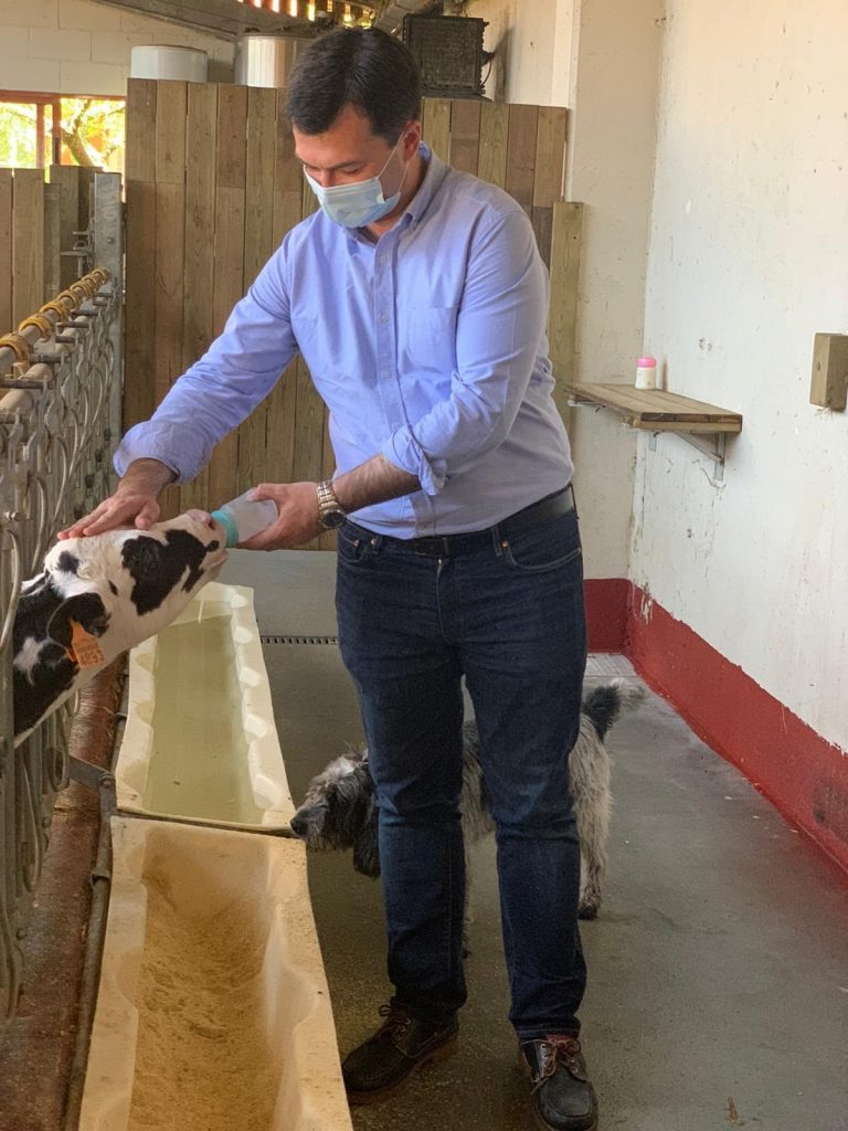 Gonzalo Caballero compromete una apuesta clara por el lácteo y la ganadería de Galicia para frenar el cierre de granjas