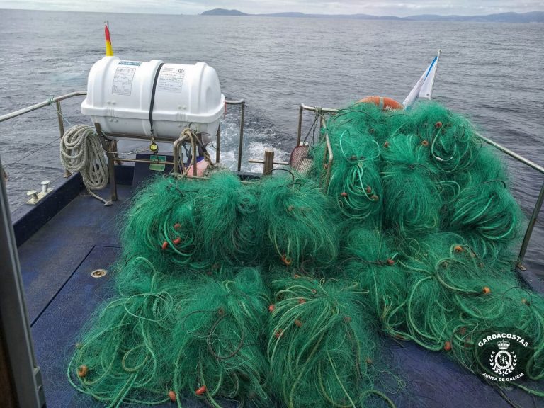 Requisados más de 330 kilos de pescado y marisco en varios operativos contra el furtivismo en la costa gallega
