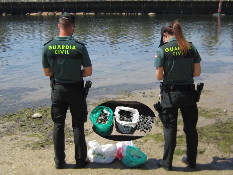Denunciados tres mariscadores furtivos sorprendidos en una playa de Vigo tras extraer siete kilos de almejas