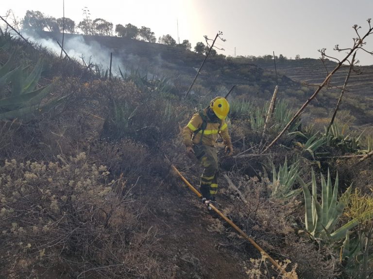 Galicia, Asturias, Cantabria, León y Zamora presentan el 74,01% de su superficie quemada por incendios forestales