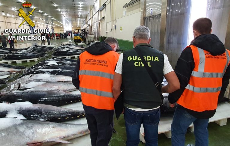 Interceptados en Vigo más de 30 kilos de atún rojo en dos embarcaciones de bandera portuguesa que superaban la cuota