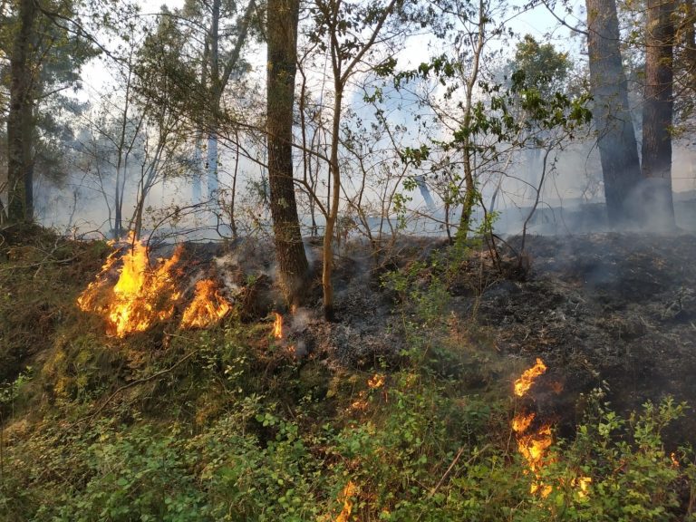 El incendio de Verín (Ourense) rebasa ya las 100 héctareas calcinadas y el de Porto do Son sigue estabilizado