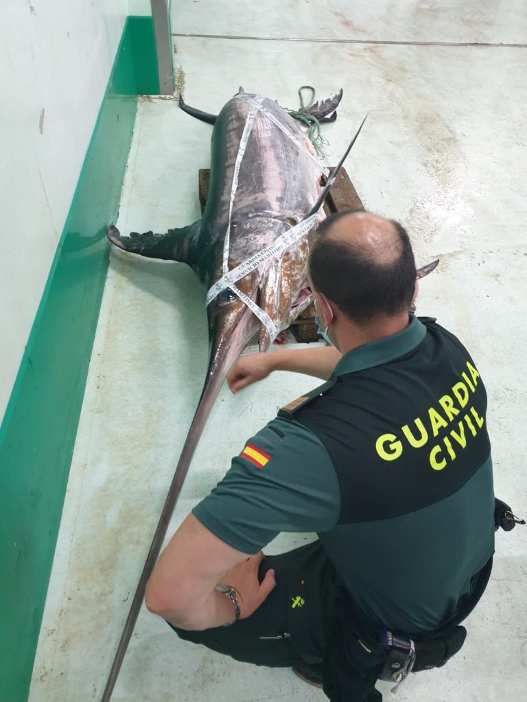 La Guardia Civil decomisa en las inmediaciones del puerto de A Coruña un pez espada de 245 kilos