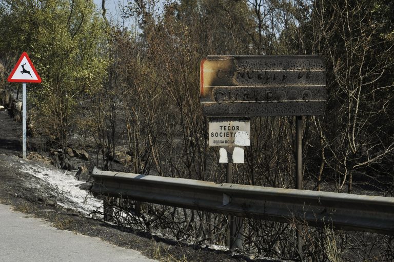 Estabilizado el incendio en Rodeiro (Pontevedra) que afecta a unas 50 hectáreas