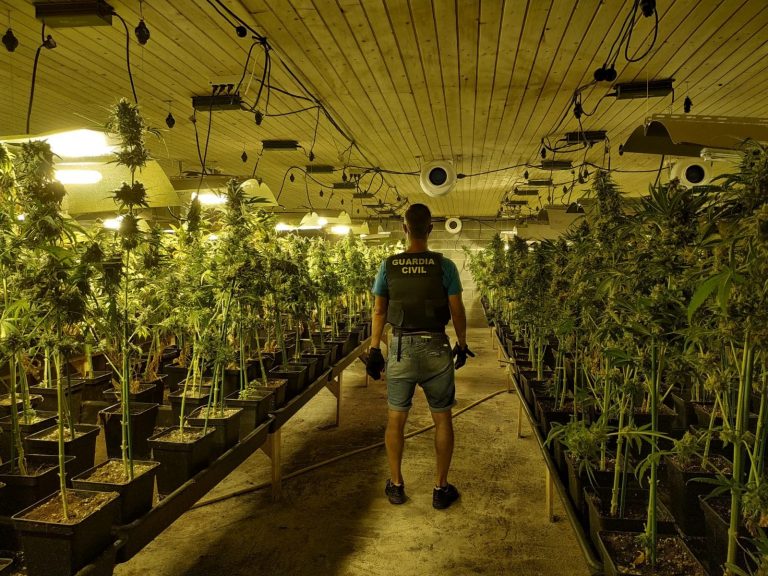 Intervenida la plantación de marihuana más sofisticada hallada en Galicia