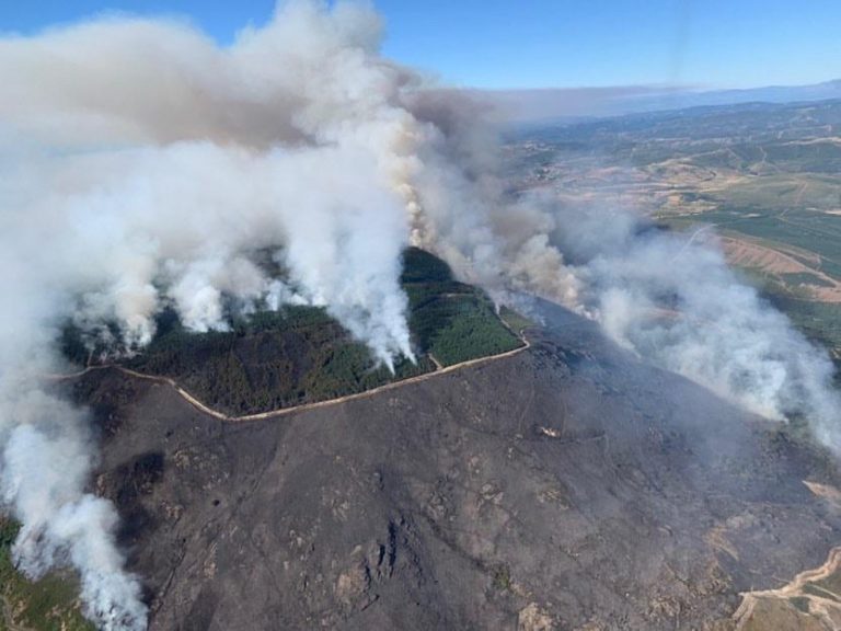 Extinguidos dos incendios que quemaron casi 355 hectáreas en Viana do Bolo y Verín